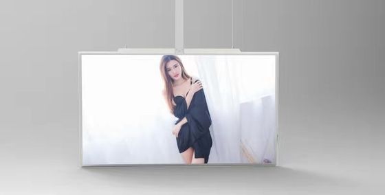 55 Inch LCD Digital Signage